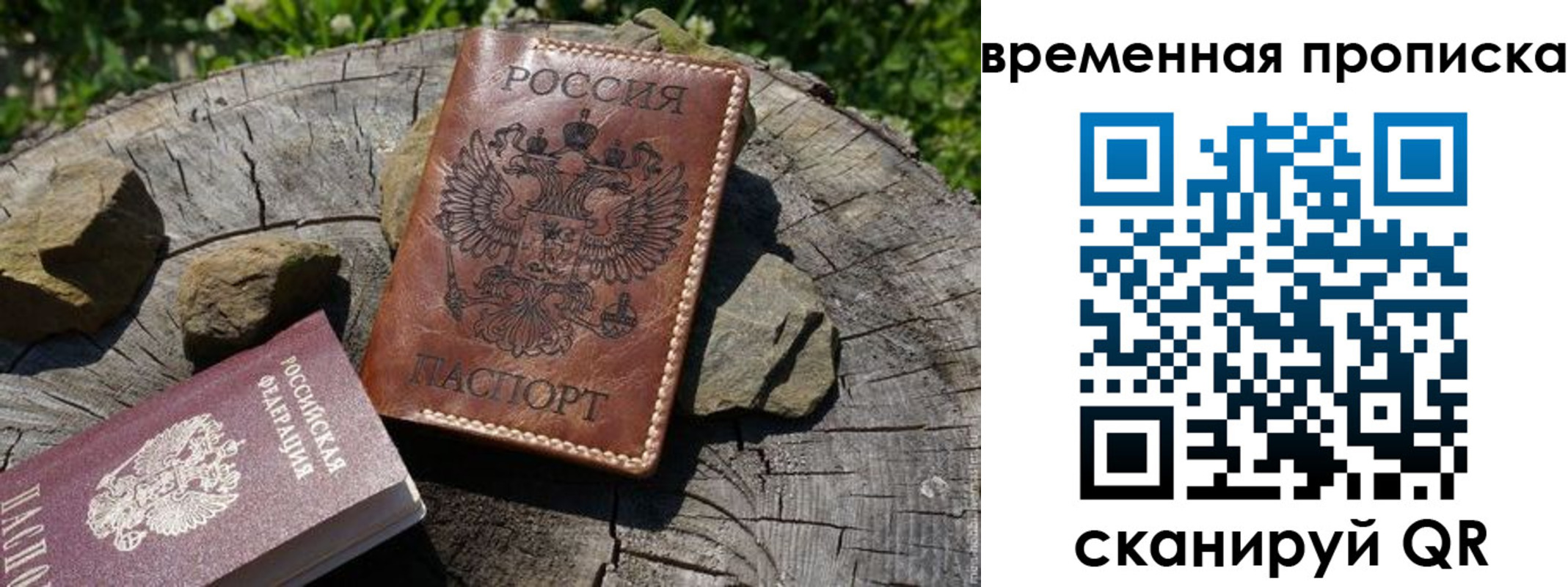 регистрация в Алтайском крае